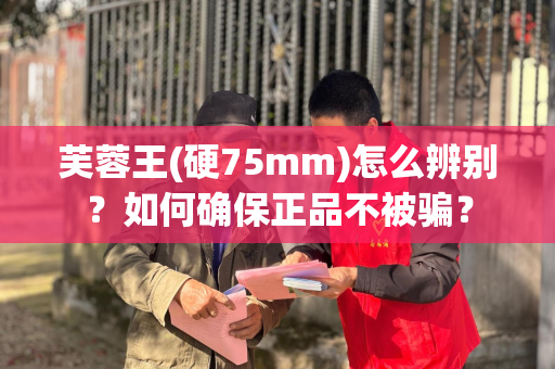 芙蓉王(硬75mm)怎么辨别？如何确保正品不被骗？